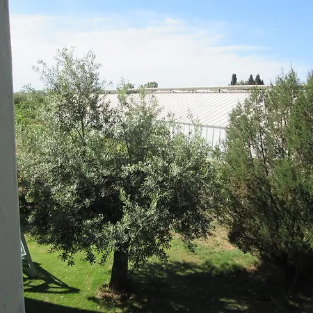 Farm stay Bingia Bonaria Pula